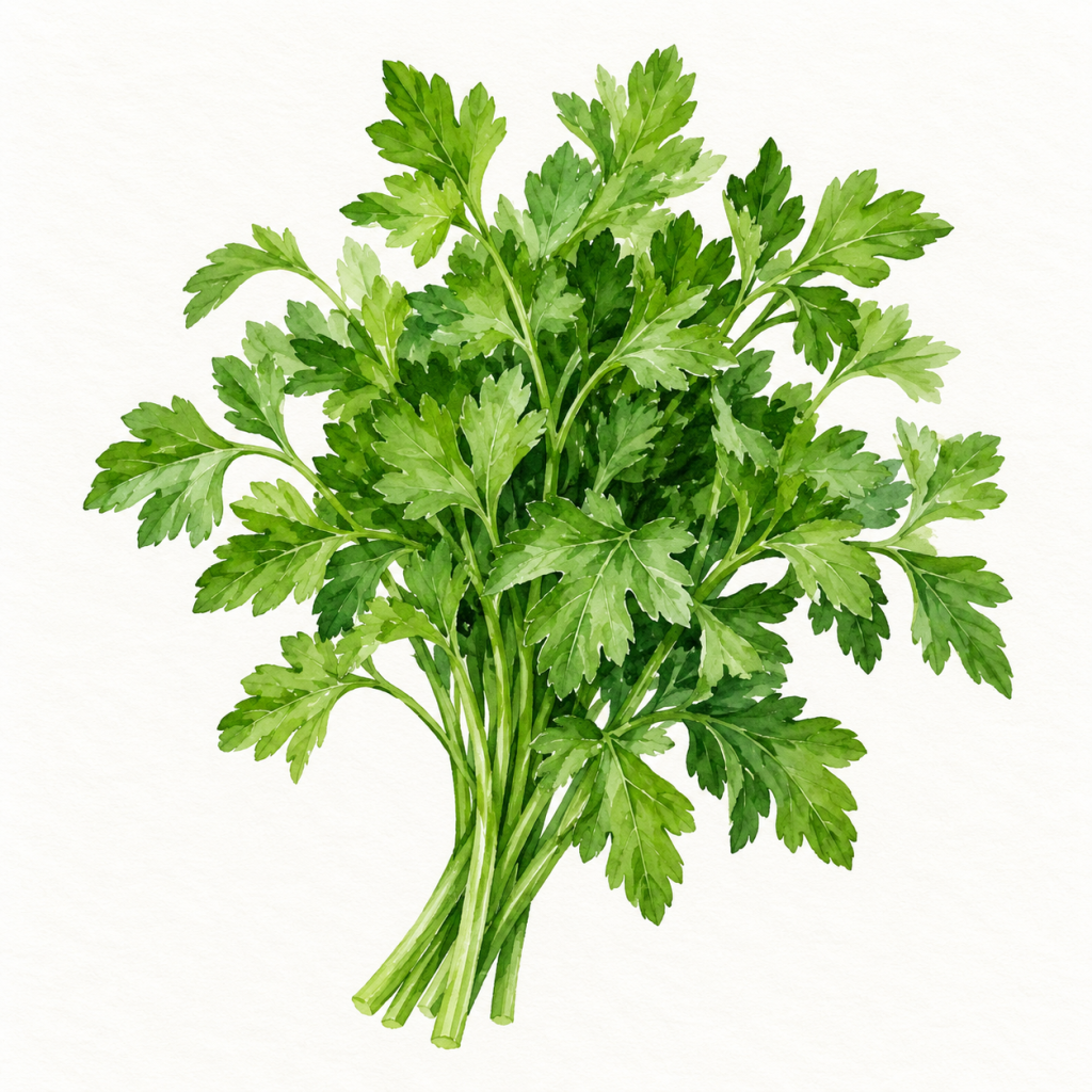 parsley